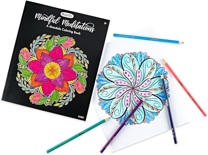 Crayola Color and Erase Reusable Activity Board, Gift for Kids, Ages 3, 4, 5, 6