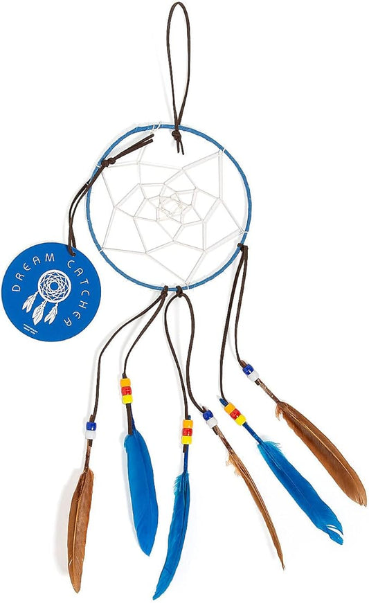 Dream Catcher with Educational Card Craft Kit, Makes 12