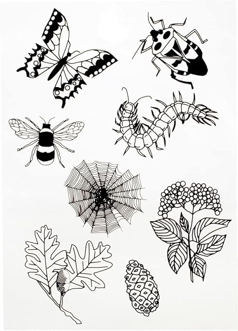 Toysmith Solar Print Kit