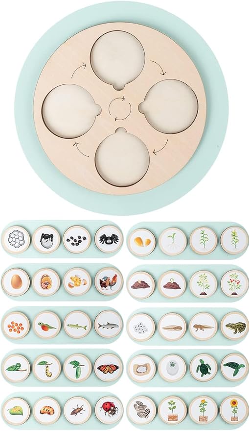 Wooden Life Cycle Toy Tray for Kids, Learning & Educational Toys Puzzles for Toddler, Montessori Homeschool Preschool Science Learning Activities Toys for Age 3 4 5 6 7 8+