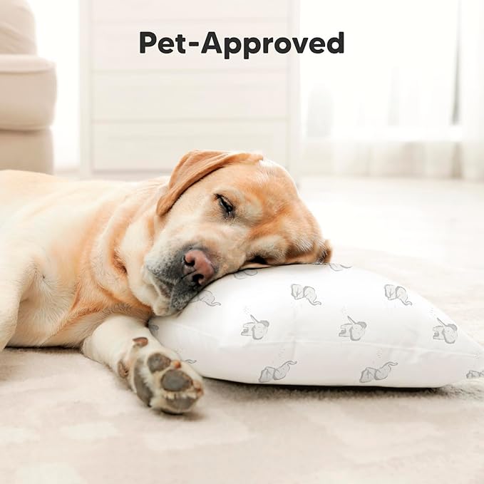 Toddler Pillow with Pillowcase - 13x18 My Little Dreamy Pillow, Organic Cotton Toddler Pillows for Sleeping, Kids Pillow, Travel Pillows, Mini Pillow, Nursery Pillow, Toddler Bed Pillow (Fox Tales)