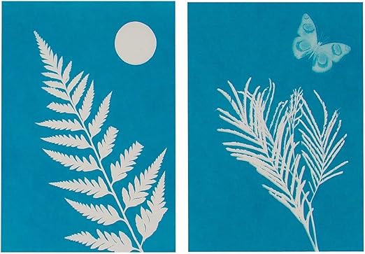 Toysmith Solar Print Kit