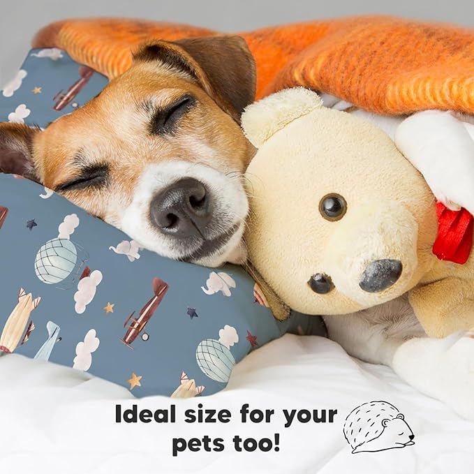 Toddler Pillow with Pillowcase - 13x18 My Little Dreamy Pillow, Organic Cotton Toddler Pillows for Sleeping, Kids Pillow, Travel Pillows, Mini Pillow, Nursery Pillow, Toddler Bed Pillow (Up & Away)