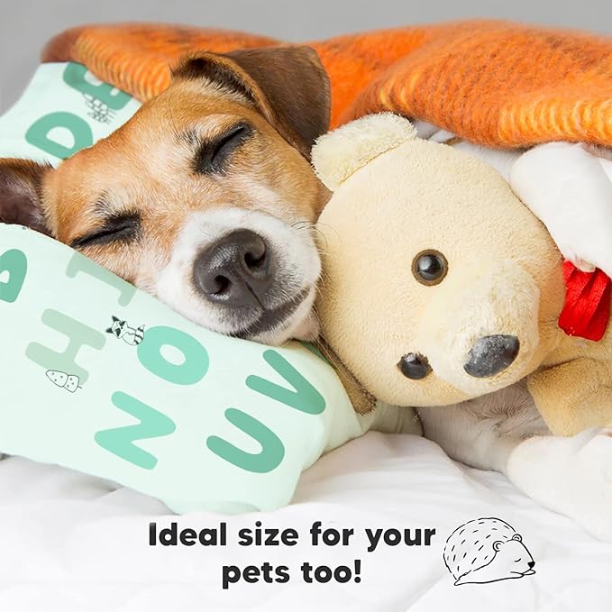 Toddler Pillow with Pillowcase - 13x18 My Little Dreamy Pillow, Organic Cotton Toddler Pillows for Sleeping, Kids Pillow, Travel Pillows, Mini Pillow, Nursery Pillow, Toddler Bed Pillow (KeaABC Mint)