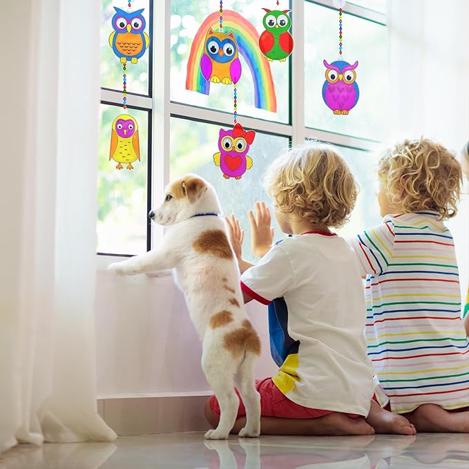 Winlyn 27 Sets Owl Suncatchers Ornaments Decorations DIY Window Paint Art Suncatchers Owl Craft Kits Sun Catchers for Kids Home Classroom Winter Holiday Season Fall Christmas Activities Party Favors