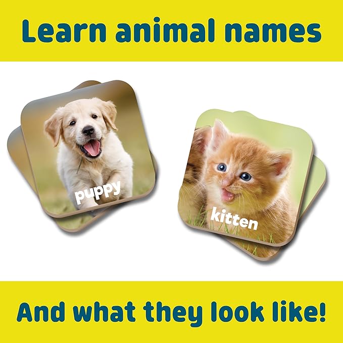 Chuckle & Roar - Matching Game Baby Animals - Board Game for Kids 3 and up - Concentration Game for Toddlers - Preschool Game