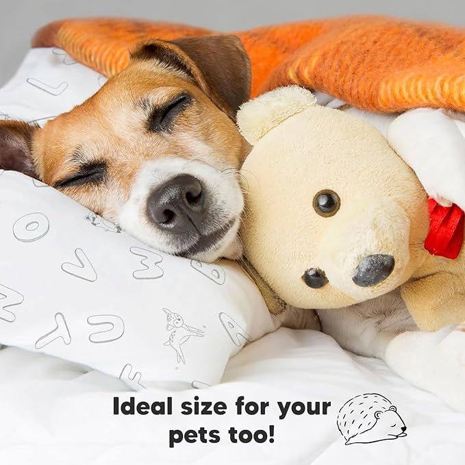 Toddler Pillow with Pillowcase - 13x18 My Little Dreamy Pillow, Organic Cotton Toddler Pillows for Sleeping, Kids Pillow, Travel Pillows, Mini Pillow, Nursery Pillow, Toddler Bed Pillow (ABC Land)