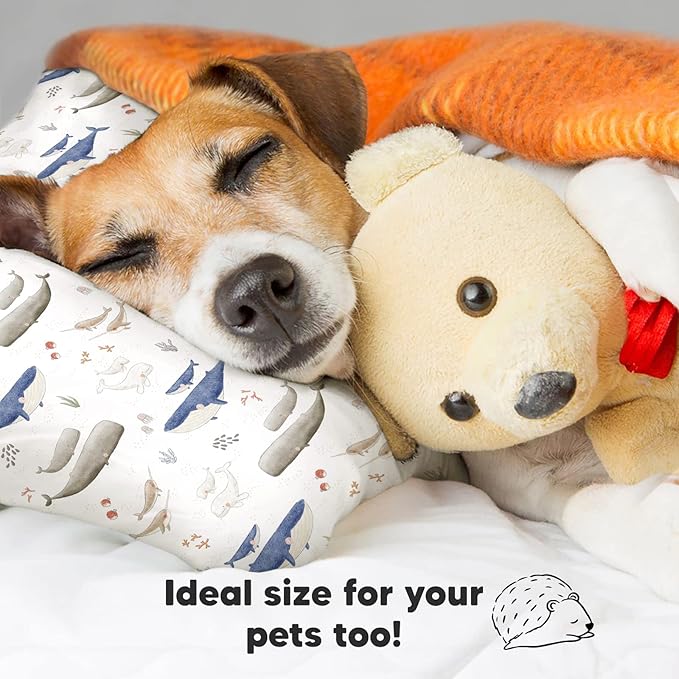 Toddler Pillow with Pillowcase - 13x18 My Little Dreamy Pillow, Organic Cotton Toddler Pillows for Sleeping, Kids Pillow, Travel Pillows, Mini Pillow, Nursery Pillow, Toddler Bed Pillow (Marine)