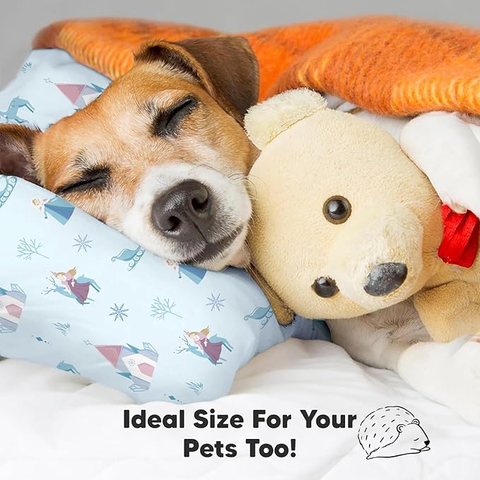 Toddler Pillow with Pillowcase - 13x18 My Little Dreamy Pillow, Organic Cotton Toddler Pillows for Sleeping, Kids Pillow, Travel Pillows, Mini Pillow,Nursery Pillow,Toddler Bed Pillow(Enchanted Frost)