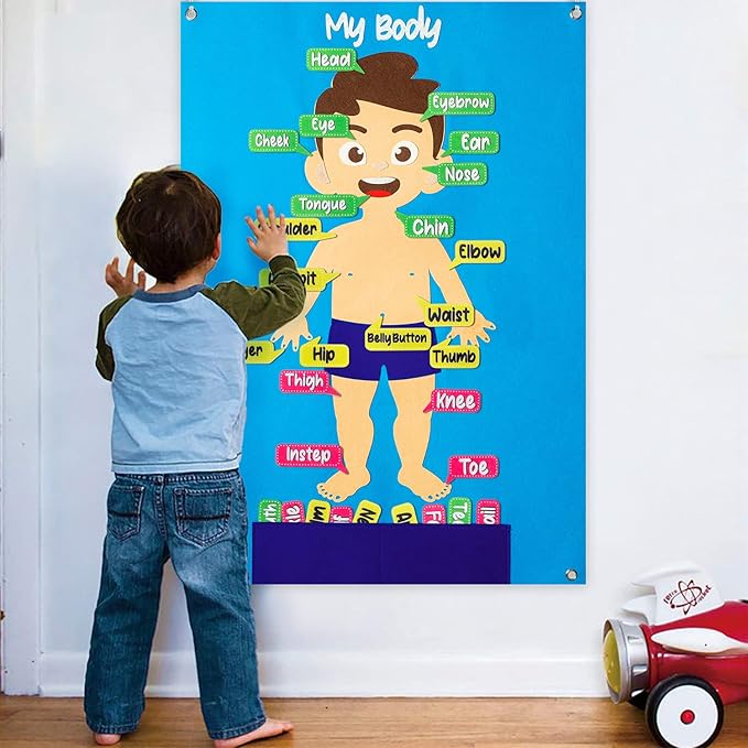 WATINC 35Pcs Body Parts Learning Felt Story Board Set Preschool Human Organ Educational Teaching Storytelling Early Learning Interactive Play Kit Wall Hanging Gift for Toddlers Kids 41 x 30 Inch