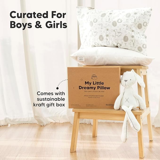 Toddler Pillow with Pillowcase - 13x18 My Little Dreamy Pillow, Organic Cotton Toddler Pillows for Sleeping, Kids Pillow, Travel Pillows, Mini Pillow, Nursery Pillow, Toddler Bed Pillow (Aircraft)