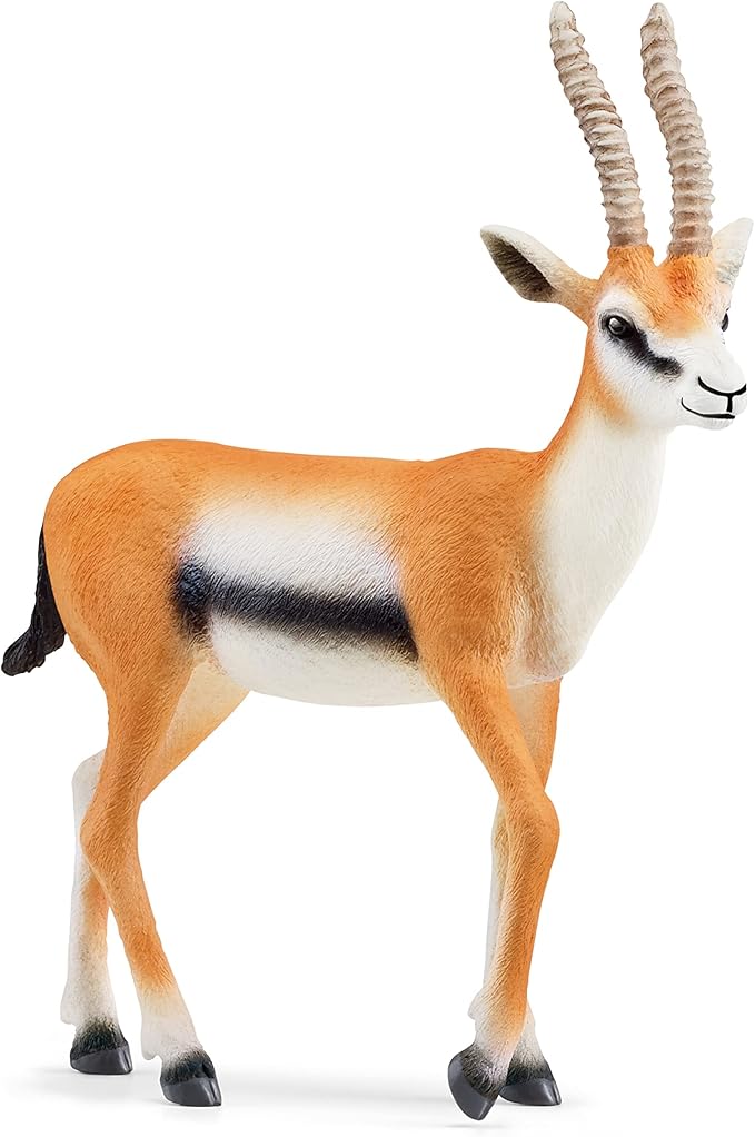 Schleich Wild Life New 2023, Wild Animal Safari Toys for Boys and Girls, Thomson Gazelle Toy Figurine, Ages 3+
