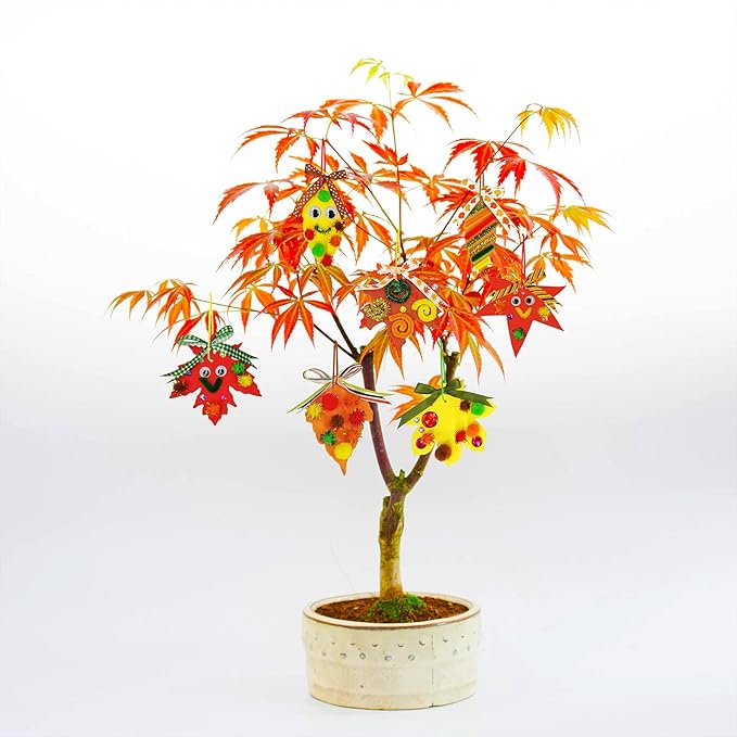 Winlyn 48 Sets Fall Craft Kits Fall Leaves Ornaments Decorations Art Sets Pom-Poms Googly Eyes Autumn Leaf Foam Stickers Arts and Crafts for Kids Thanksgiving Halloween Classroom Party Activities