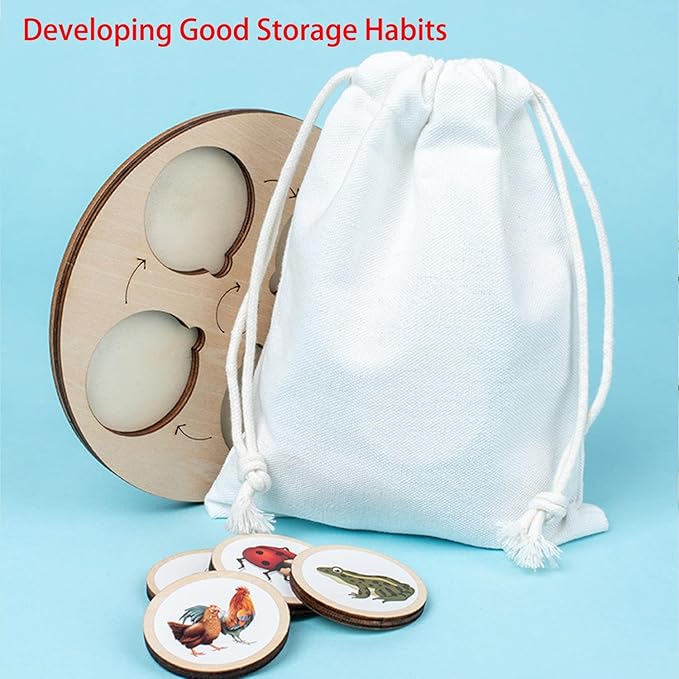 Wooden Life Cycle Toy Tray for Kids, Learning & Educational Toys Puzzles for Toddler, Montessori Homeschool Preschool Science Learning Activities Toys for Age 3 4 5 6 7 8+