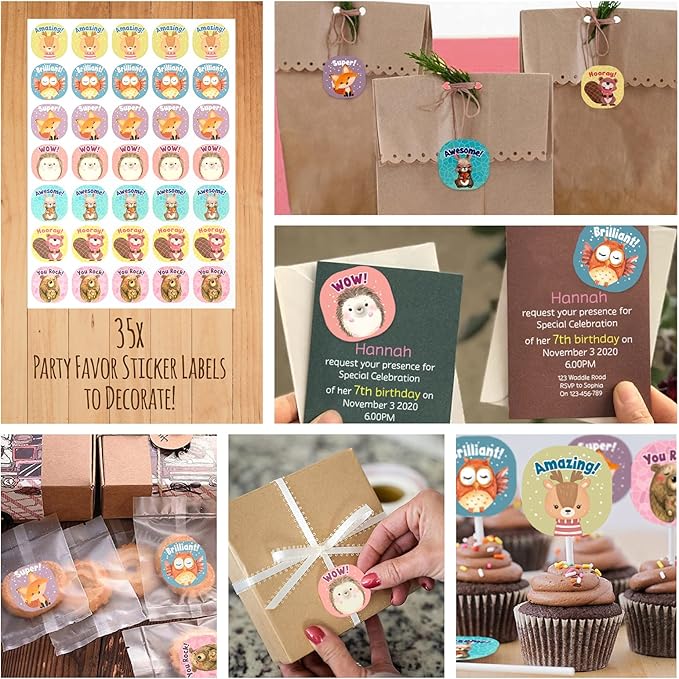 Woodland Themed Christmas Party Hats Making Kit c/w Chenille Stems & Stickers. Group Activities, DIY Art Craft Home Project. Birthday, Easter & Fiesta Decoration for Kid