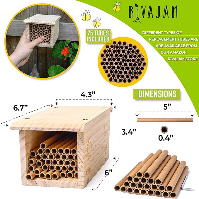 Rivajam Build a Bee House DIY Woodworking Project | Solitary Mason Bee House Nesting Box Wood Building Kit & Tools | Garden Arts & Crafts Activities for Toddler Boys & Girls Kids Teens Adults & Family