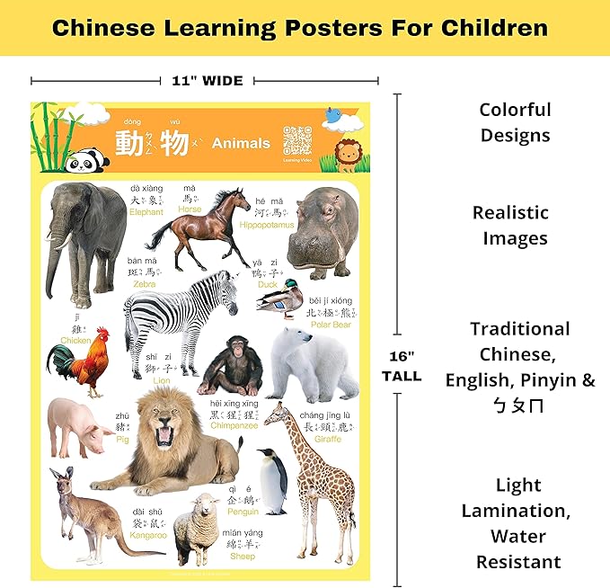 N/A/ Chinese Learning 10-Poster Set for Kids. Montessori-Inspired. Bilingual with Traditional Chinese, English, and Zhuyin.