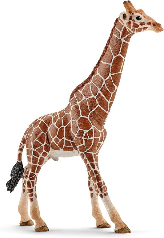 Schleich Wild Life, Animal Figurine, Animal Toys for Boys and Girls 3-8 years old, Male Giraffe, Ages 3+
