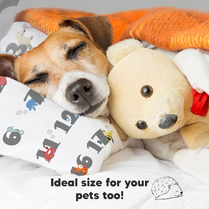 Toddler Pillow with Pillowcase - 13x18 My Little Dreamy Pillow, Organic Cotton Toddler Pillows for Sleeping, Kids Pillow, Travel Pillows, Mini Pillow, Nursery Pillow, Toddler Bed Pillow (Kea123)