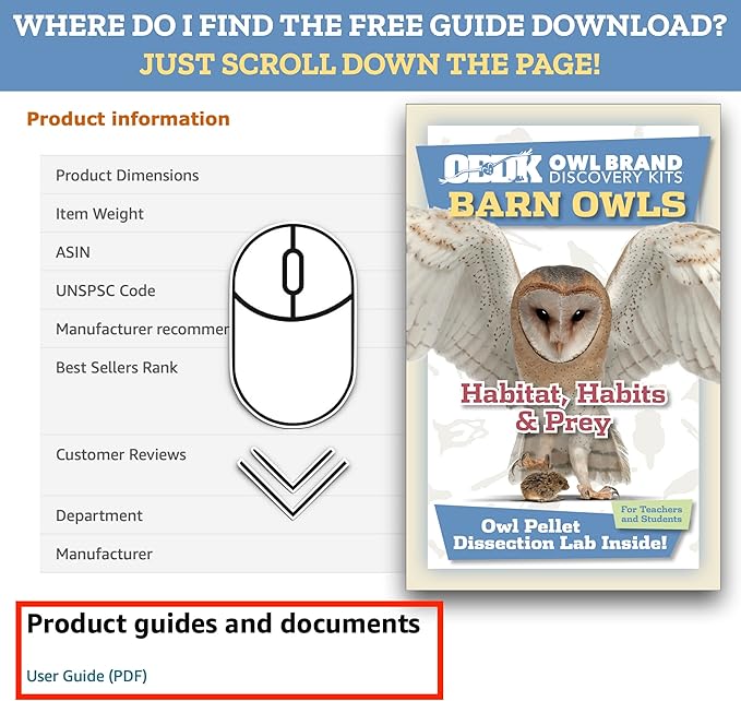 OBDK Barn Owl Pellets for Dissection - 1 Pack Small Sized (1.0-1.5") with Tools, Guide and Charts from Owl Brand Discovery Kits