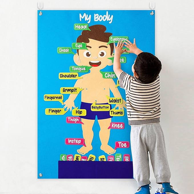 WATINC 35Pcs Body Parts Learning Felt Story Board Set Preschool Human Organ Educational Teaching Storytelling Early Learning Interactive Play Kit Wall Hanging Gift for Toddlers Kids 41 x 30 Inch