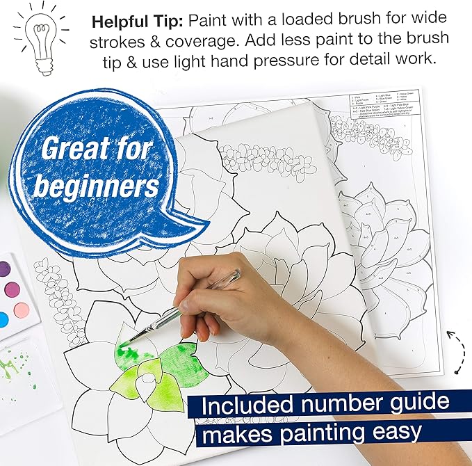 Faber-Castell Watercolor Paint by Number, Succulents - Adult Paint by Number Kit on Canvas