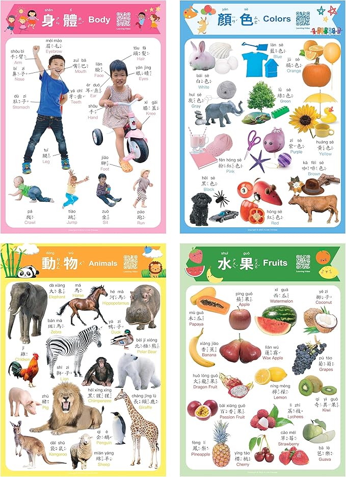 N/A/ Chinese Learning 10-Poster Set for Kids. Montessori-Inspired. Bilingual with Traditional Chinese, English, and Zhuyin.